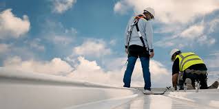 Best Roof Inspection  in Volo, IL